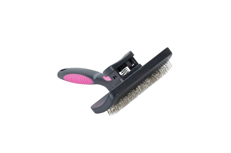 BUSTER suka sunim, cieti sari