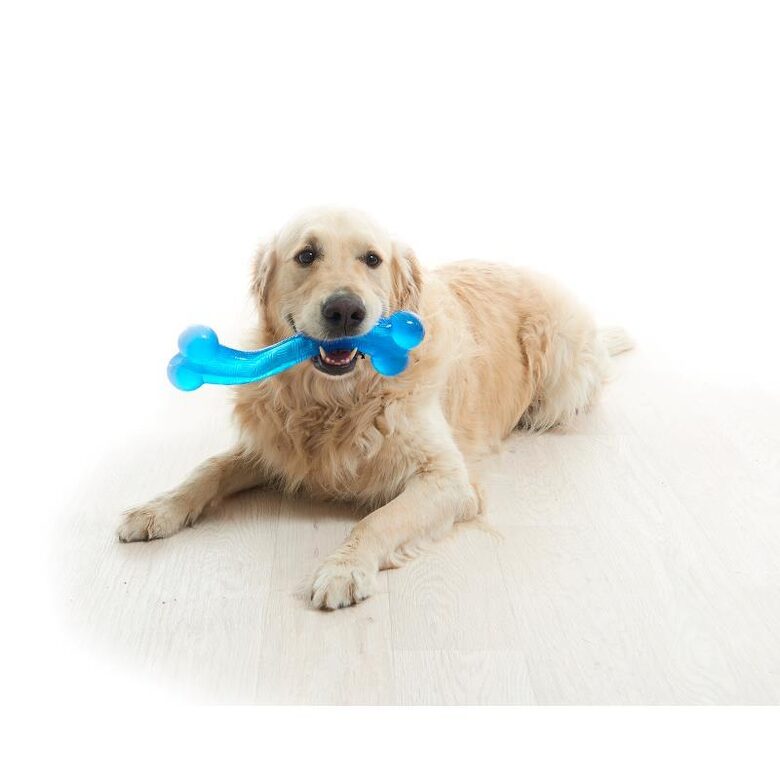 BUSTER rotaļlieta sunim 