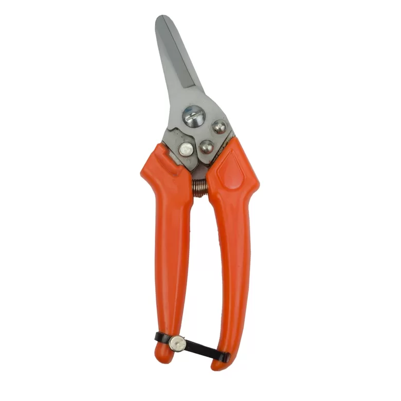 HOFMAN nagu grieznes aitām un kazām 